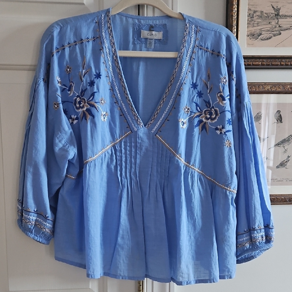 Cupio Blue Embroidered Floral Blouse